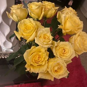 Meet your Posher, Annette